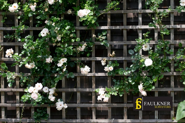 Can I put trellis on my Neighbours garage wall? 2 Do you want to adapt your neighbours garage door and add a trellis Tonbridge? Talk to Faulkner Surveyor Tonbridge